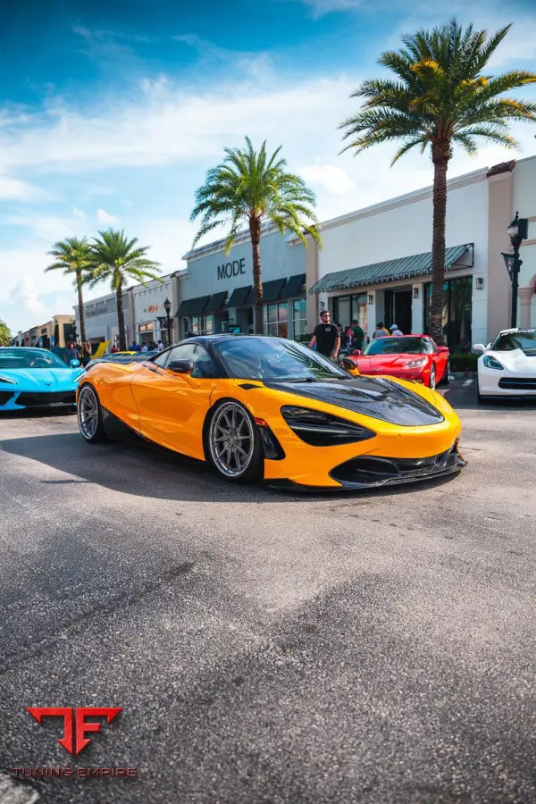 1016 MCLAREN 720S VISION CARBON PARTS