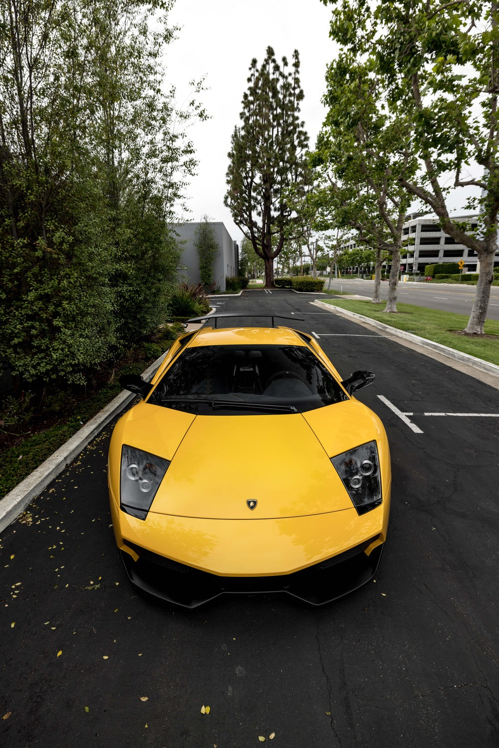 LAMBORGHINI MURCIELAGO FORGED WHEELS AND EXHAUST SYSTEM