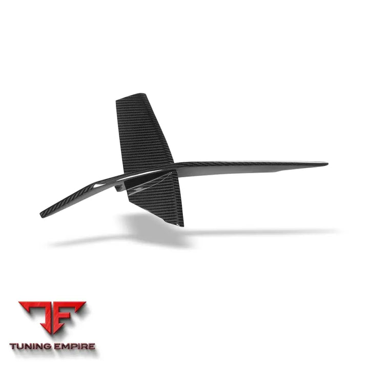 AUDI RS6 C8 CARBON FIBER CANARDS - Body Kit