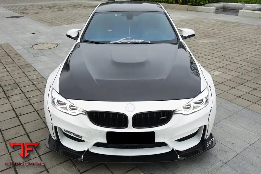 BMW M3M4 GTS STYLE HOOD BSD