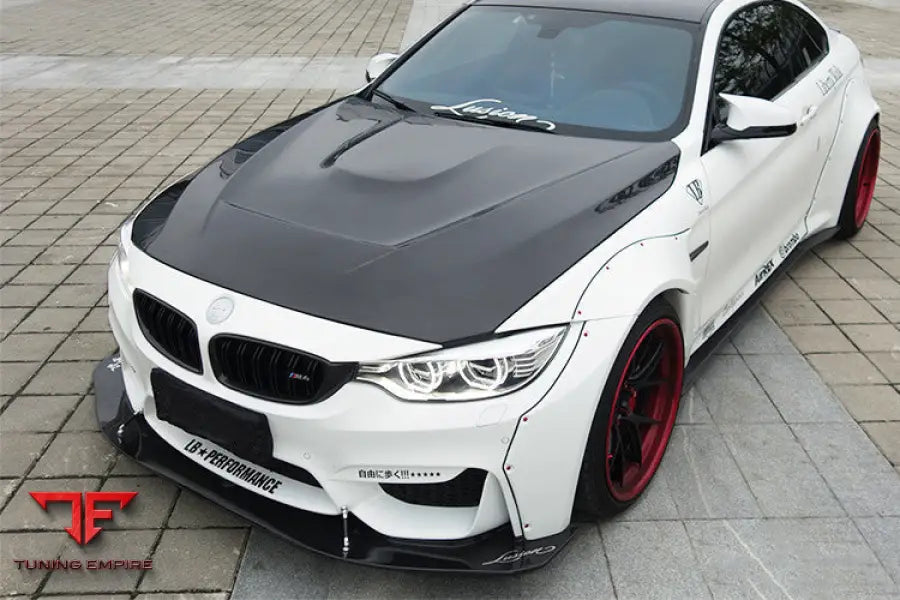 BMW M3M4 GTS STYLE HOOD BSD