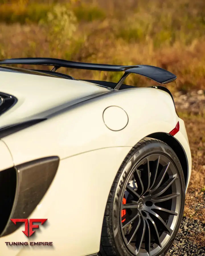 FABSPEED FABSPEED MCLAREN 570S/540C CARBON FIBER PARTS