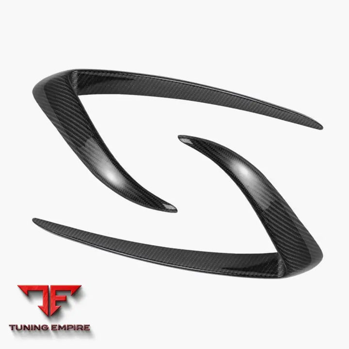 FABSPEED TESLA MODEL 3 CARBON FIBER PARTS