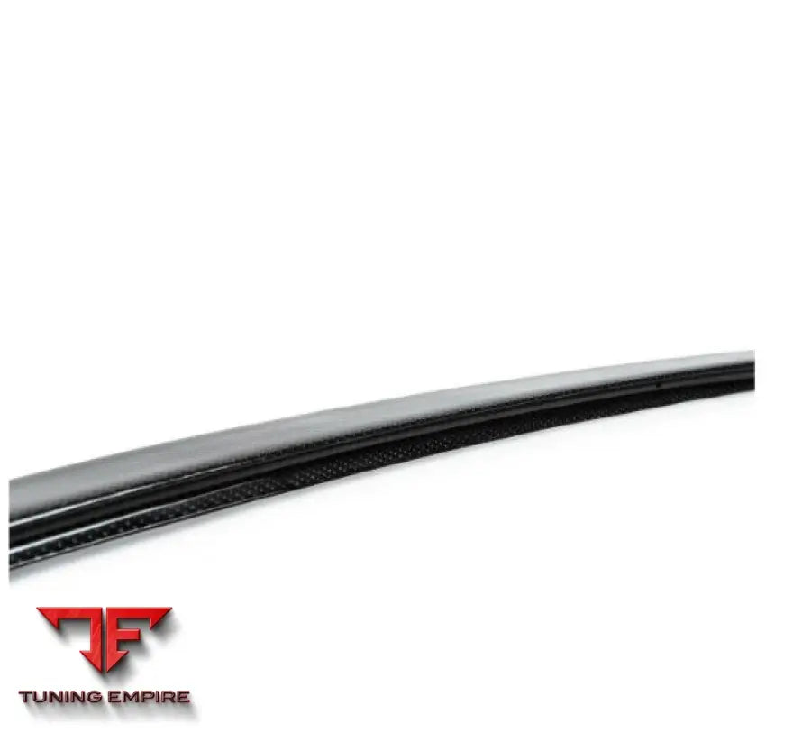 FABSPEED TESLA MODEL 3 CARBON FIBER PARTS