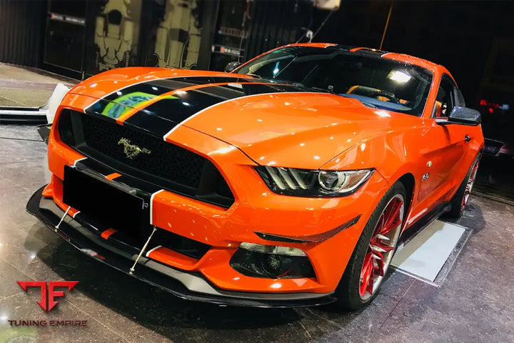 FORD MUSTANG AR STYLE CARBON FIBER CANARDS BSD