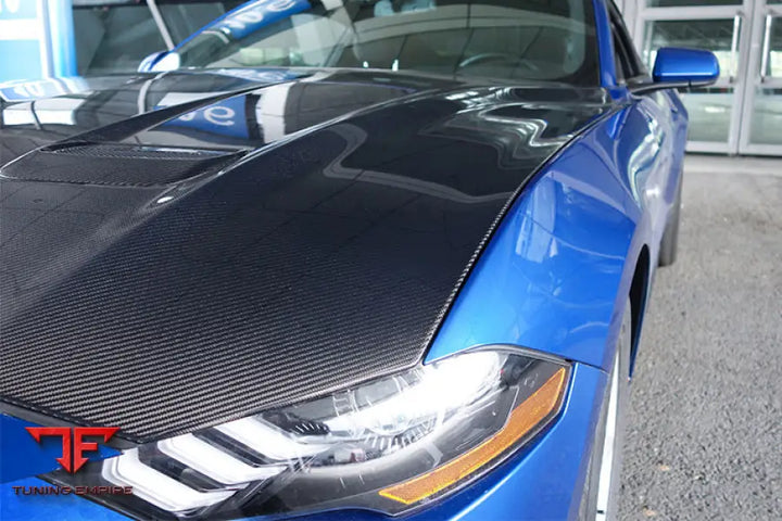 FORD MUSTANG CARBON FIBER HOOD BSD