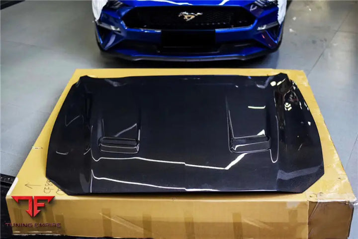 FORD MUSTANG CARBON FIBER HOOD BSD