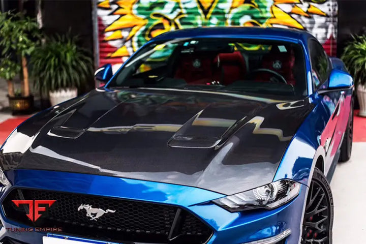 FORD MUSTANG CARBON FIBER HOOD BSD