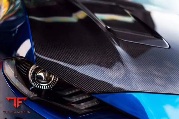 FORD MUSTANG OEM STYLE CARBON FIBER HOOD BSD