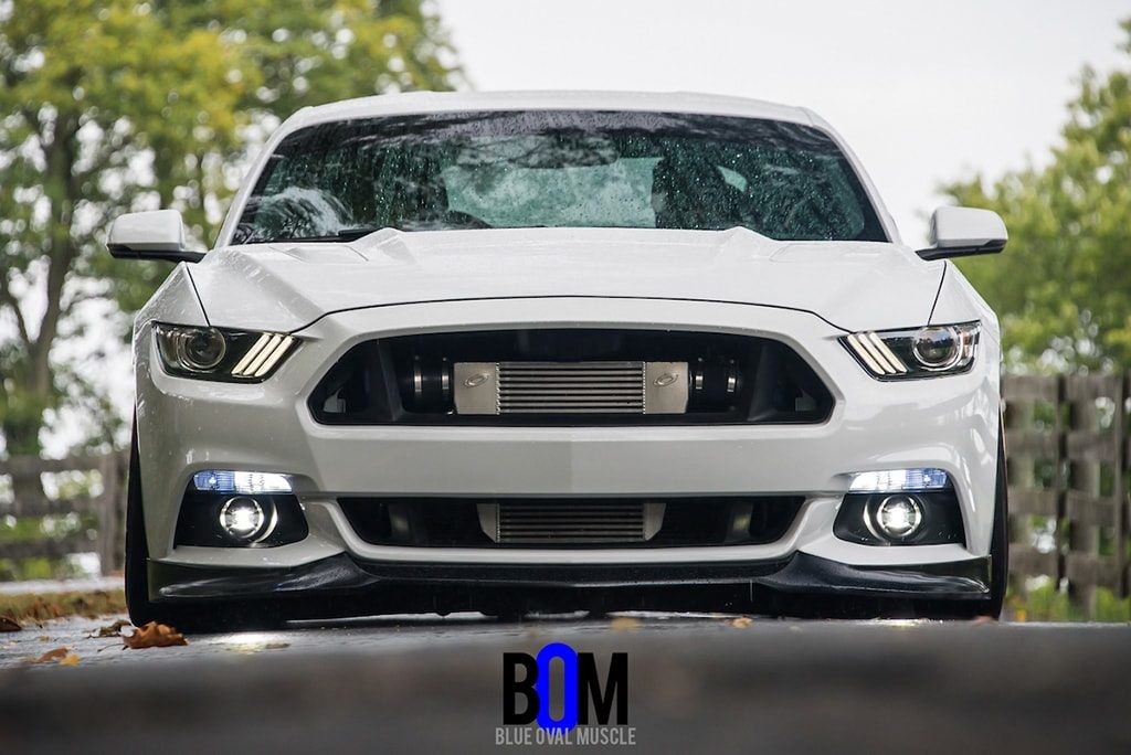FORD MUSTANG GT 5.0 PROCHARGED on custom forged wheels