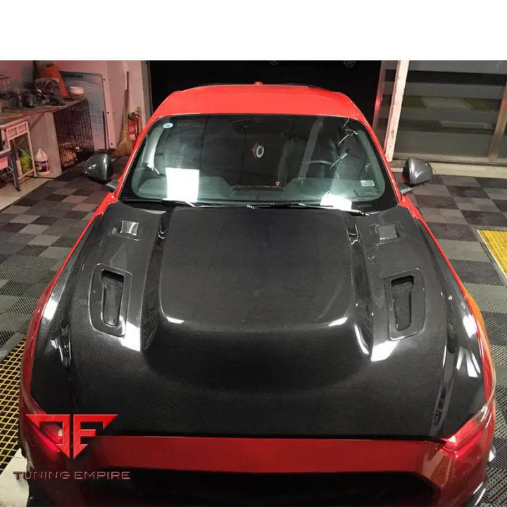 FORD MUSTANG GT CARBON FIBER PARTS