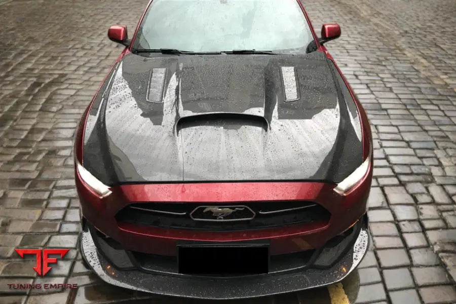 FORD MUSTANG GT & V6 TRU STYLE CARBON FIBER HOOD BSD