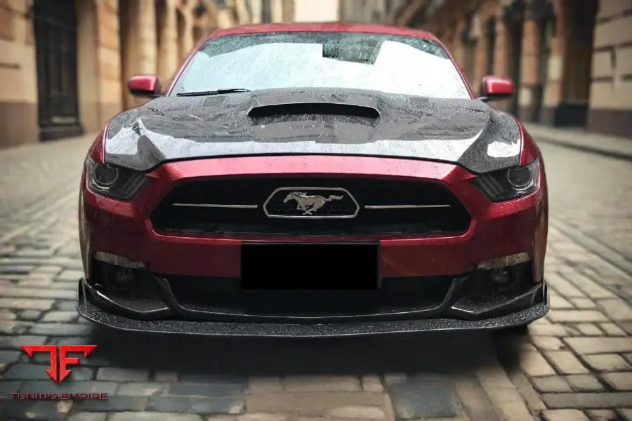 FORD MUSTANG HY STYLE CARBON FIBER FRONT LIP BSD