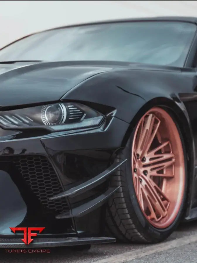 FORD MUSTANG S550.2 CARBON FIBER PARTS 2018-2020Y