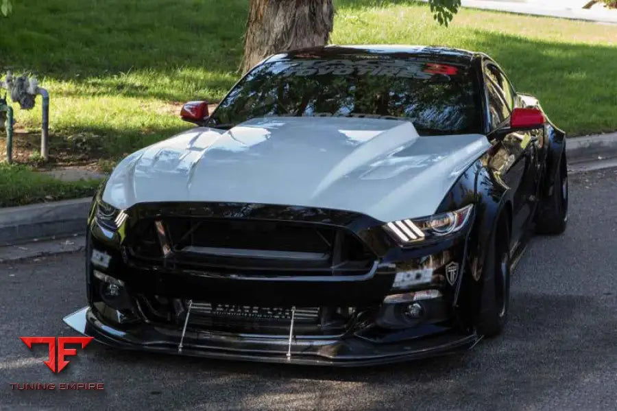 FORD MUSTANG TRU STYLE CARBON FIBER FRONT BUMPER DOWN-GRILLE BSD