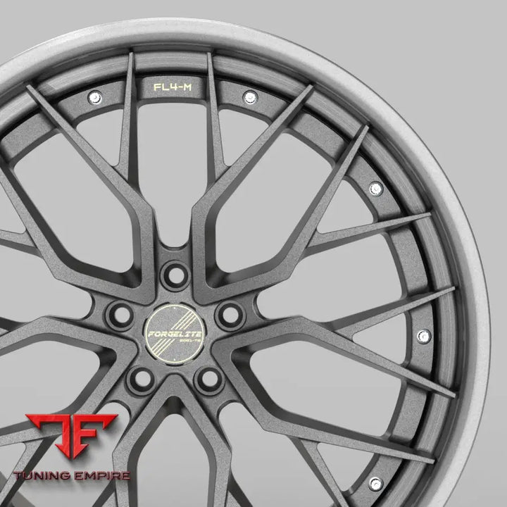FORGELITE FL4 M/X