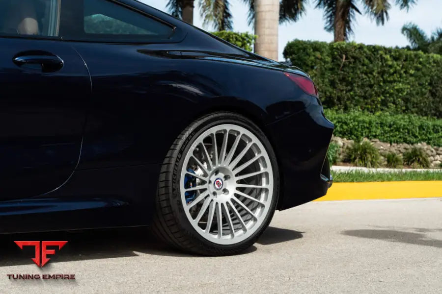 HRE 309M