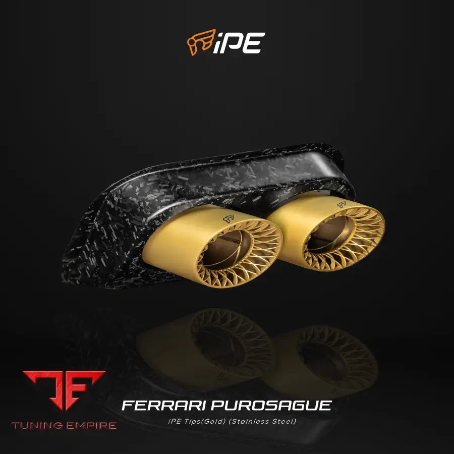 IPE FERRARI PUROSANGUE (TITANIUM) EXHAUST SYSTEM