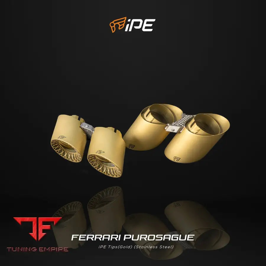 IPE FERRARI PUROSANGUE (TITANIUM) EXHAUST SYSTEM