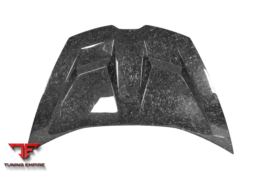 LAMBORGHINI HURACAN LP610 & LP580 & EVO & TECNICA BKSS STYLE CARBON FIBER HOOD BSD