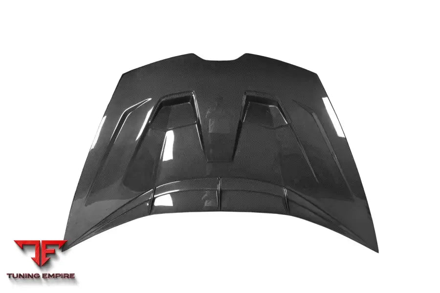 LAMBORGHINI HURACAN LP610 & LP580 & EVO & TECNICA BKSSII STYLE HOOD BSD