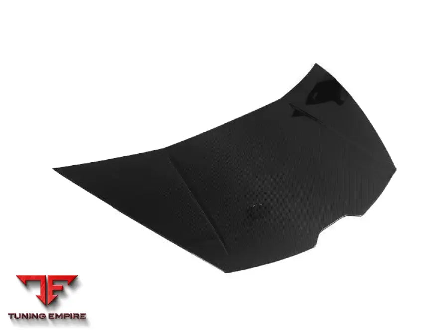 LAMBORGHINI HURACAN LP610 & LP580 & EVO TECNICA CARBON FIBER HOOD BSD