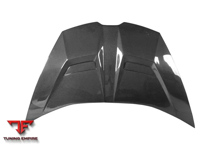LAMBORGHINI HURACAN LP610 & LP580 & EVO & TECNICA VRS STYLE CARBON FIBER HOO BSD
