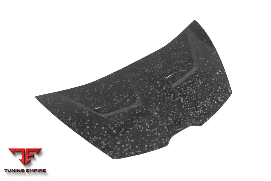 LAMBORGHINI HURACAN LP610 & LP580 & EVO & TECNICA VRS STYLE CARBON FIBER HOOD BSD