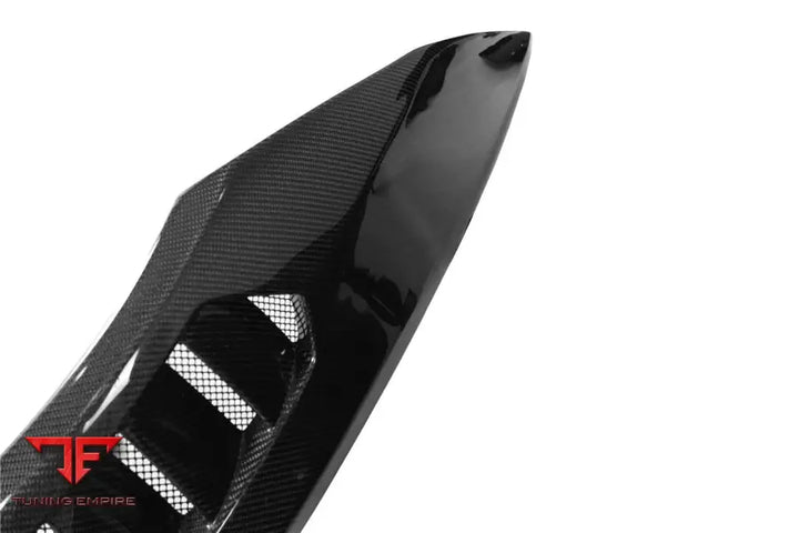 LAMBORGHINI HURACAN LP610 & LP580 & EVO & TECNICA VRS STYLE FRONT FENDER BSD