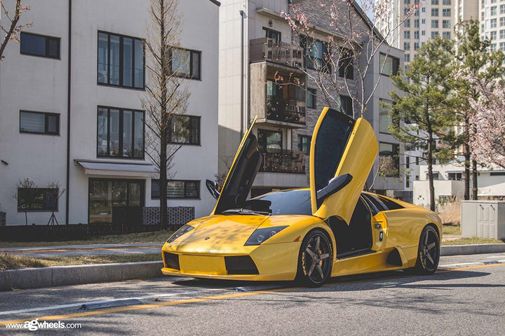 LAMBORGHINI MURCIÉLAGO on custom forged wheels