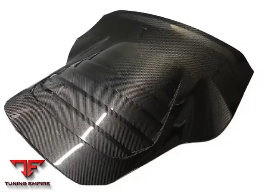 LOTUS EVORA S 2010 - 2016 CARBON FIBER DUCKTAIL TAILGATE