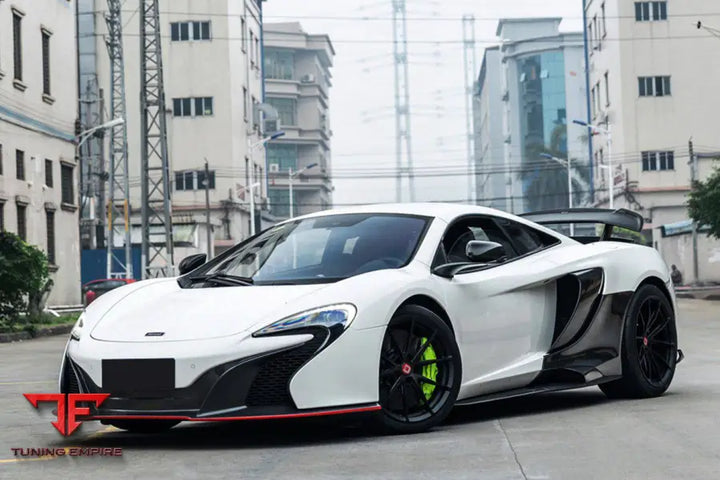 MCLAREN 650S OEM STYLE CARBON FIBER TUNING VEINS INTAKE BLADES BSD