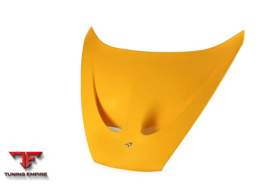 MCLAREN P1 GTR CARBON FIBER PARTS