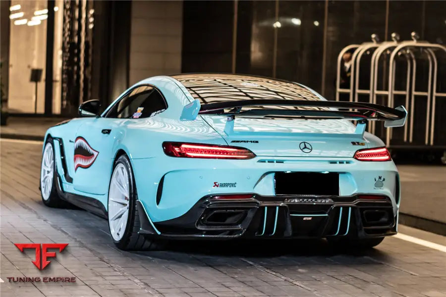 MERCEDES BENZ AMG GTGTSGTC COUPE ONLY IMPII WING (SMALL ONE) BSD