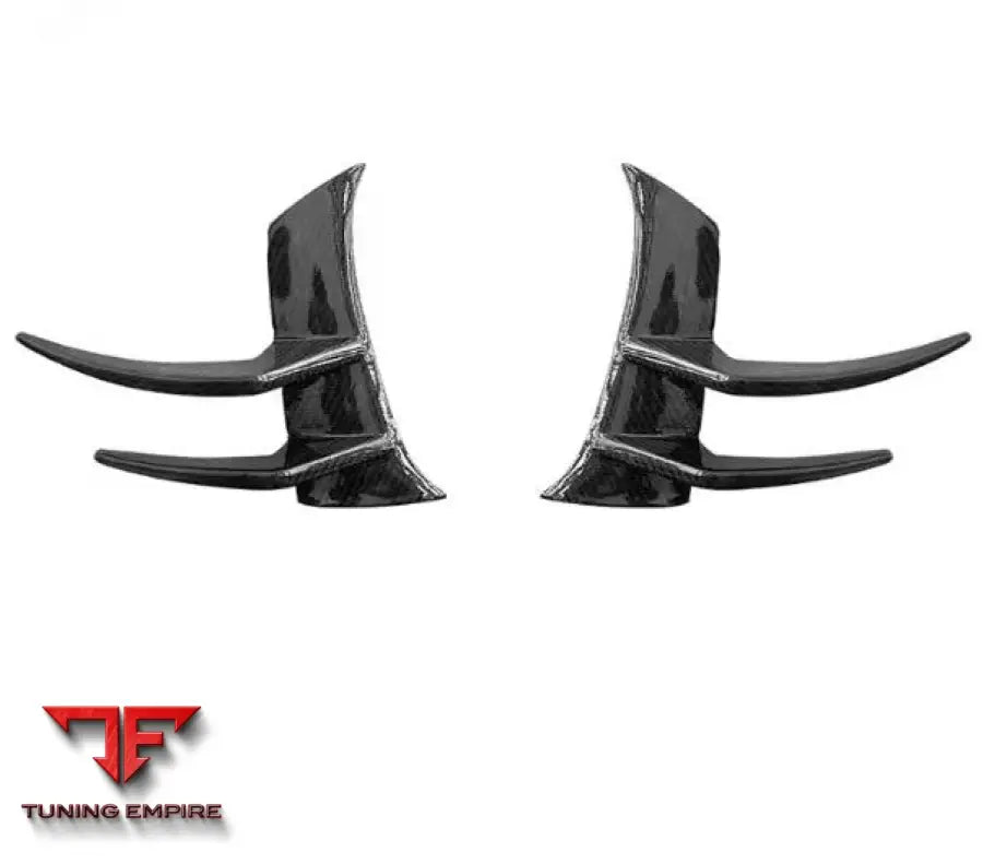 MERCEDES BENZ AMG GTR CARBON FIBER SPLITTER