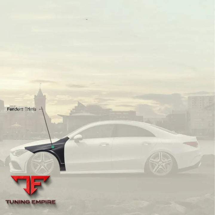 MERCEDES BENZ CLA45 DRY CARBON PERFORMANCE FENDERS