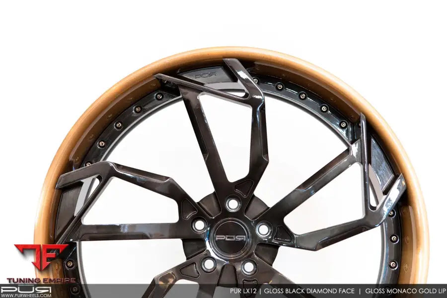 PUR LX12