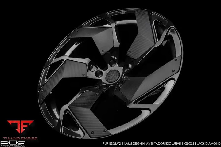 PUR RS05.V2-LP700