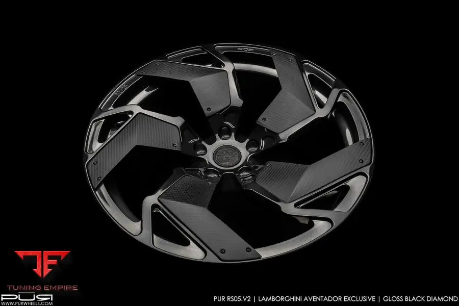 PUR RS05.V2-LP700