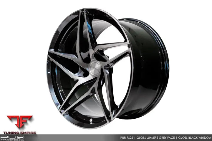 PUR RS22