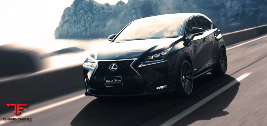 WALD 10NX SPORTS LINE BLACK BISON EDITION NX300/300h 2014
